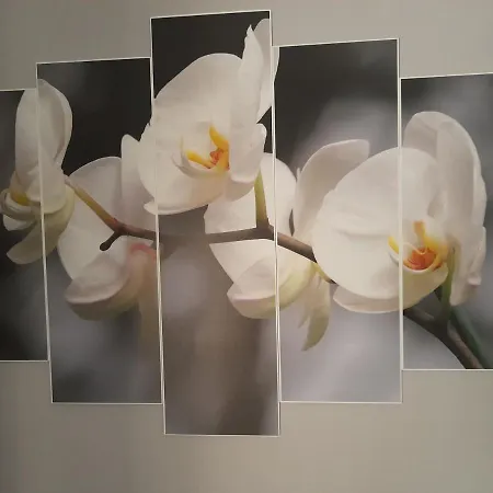 Апартаменты Esperion House *