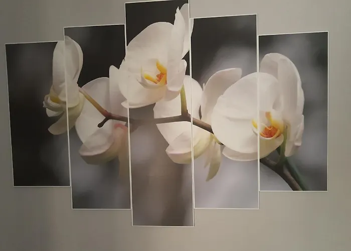 Апартаменты Esperion House *